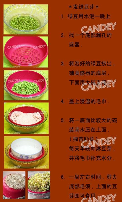 芹菜银耳的做法（附：自发绿豆芽的方法）